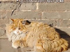 -平遥古城