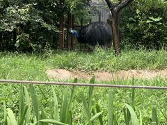 -上海野生动物园