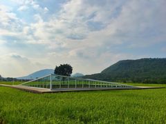 -风云岭森林公园
