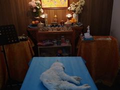 -翡翠森林宠物火化殡葬(通州店)