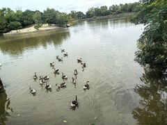 -盐城丹顶鹤湿地生态旅游区