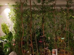 -施奈儿.洗头頭療.按摩SPA.采耳(上梅林店)