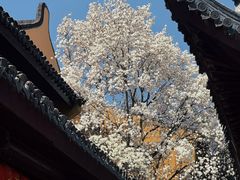 -龙华寺