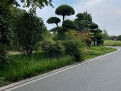-武汉园博园(武汉自然博物馆)