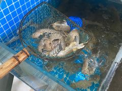 -宾朋海鲜饭庄(兴海路店)