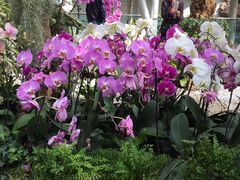 -北京植物园-展览温室