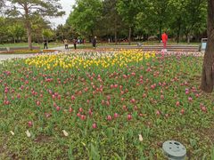 -长春公园(普阳街道)