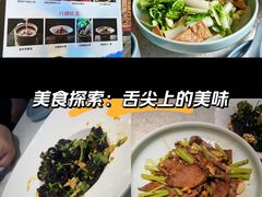 -洞庭家宴·头牌甲鱼(广渠门店)