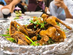 乳鸽-梧桐庄园