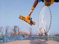 -凤凰欢乐大世界