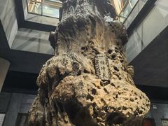 -乐山乌木文化博览苑