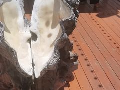 -蓝湾碧波·老字号·疍家非遗海上餐厅