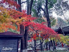 -芸海阁·农家私房菜(沙家浜景区出口店)