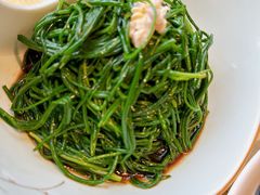 -蒙料·手把肉(望京店)
