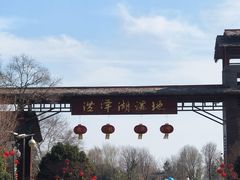 -泗洪洪泽湖湿地景区