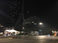 -南京国际博览中心酒店