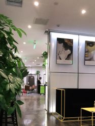 -崇尚GAVIN STYLE臻选