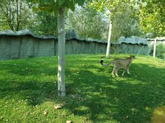 -北京野生动物园