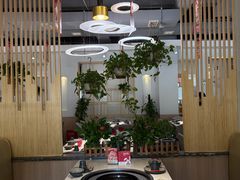 -芭夯兔·兔肉汤锅(新都店)