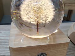 -五月木作·DIY木作文创体验店(北京路店)