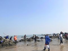 -巧克力渔家.小船海鲜胶东菜(万平口店)