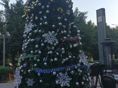 -菲尔雪CAKE(九方店)