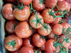 -三旗百汇商品城