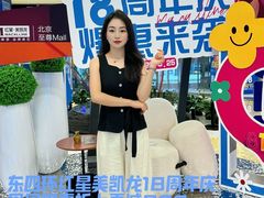 -红星美凯龙北京至尊MALL(东四环中路店)