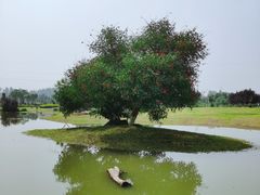 -夏河溪乡野公园