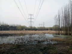 -昆山城市生态森林公园