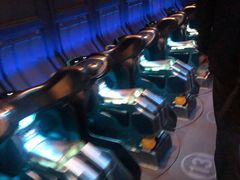 -奥兰多迪士尼动物王国乐园