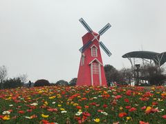 景点-铁山坪森林公园