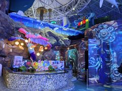 -烟台海昌鲸鲨海洋公园