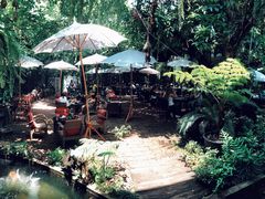 -Fern Forest Cafe