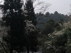 -贵州省植物园