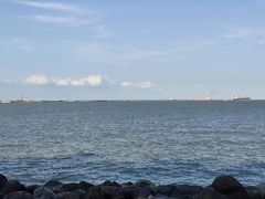 -上海吴淞炮台湾国家湿地公园