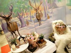 -蝶舍·MAISON PAPILLON