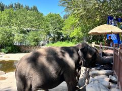 -北京野生动物园