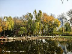 -玲珑塔公园