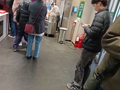 -紫光园·烤鸭·北京菜(团结湖店)