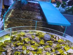 -聚盛源蒸汽海鲜火锅烤肉自助(巨川金海岸购物广场店)