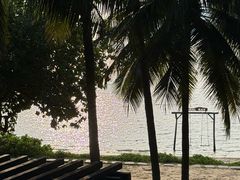 -日落吧·海景咖啡厅·餐酒吧·鸡尾酒·下午茶·乐队表演·浪漫夕阳·三亚文华东方酒店