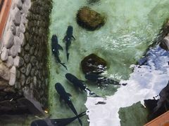 -耕渔小院·湖南鱼鲜(望城店)