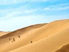 -新疆味道(大成名店公园店)