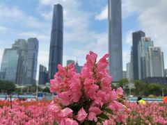 -海心沙亚运公园