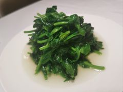 -新吉士·上海菜(浦东LCM置汇旭辉店)
