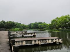 -尚贤河湿地