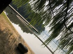-天鹅湖体育公园