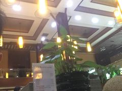 -钓鱼岛洗浴休闲会馆(卫星路店)