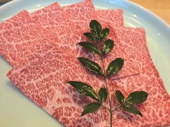 -然锅料理